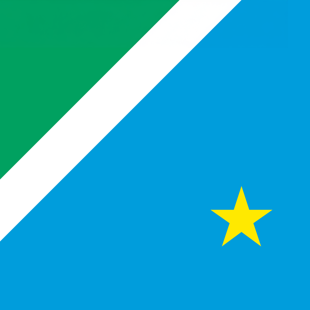 Bandeira de Mato Grosso do Sul